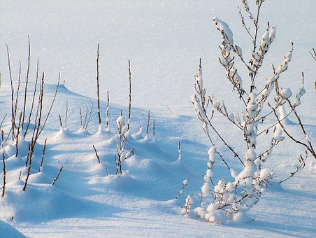Гидрометцентр предупреждает о 20-градусных морозах в Московской области